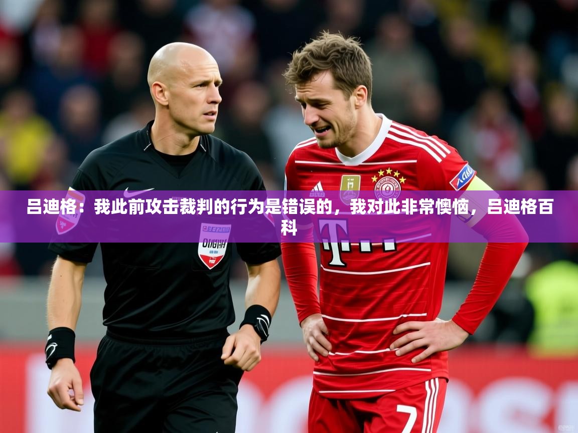 2025乐鱼体育下载吕迪格：我此前攻击裁判的行为是错误的，我对此非常懊恼，吕迪格百科