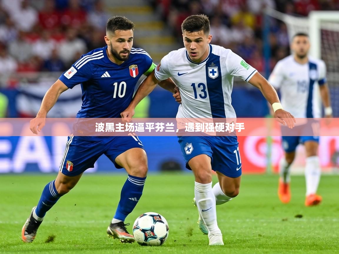 2026乐鱼体育官网波黑主场逼平芬兰，遇到强硬对手  第1张