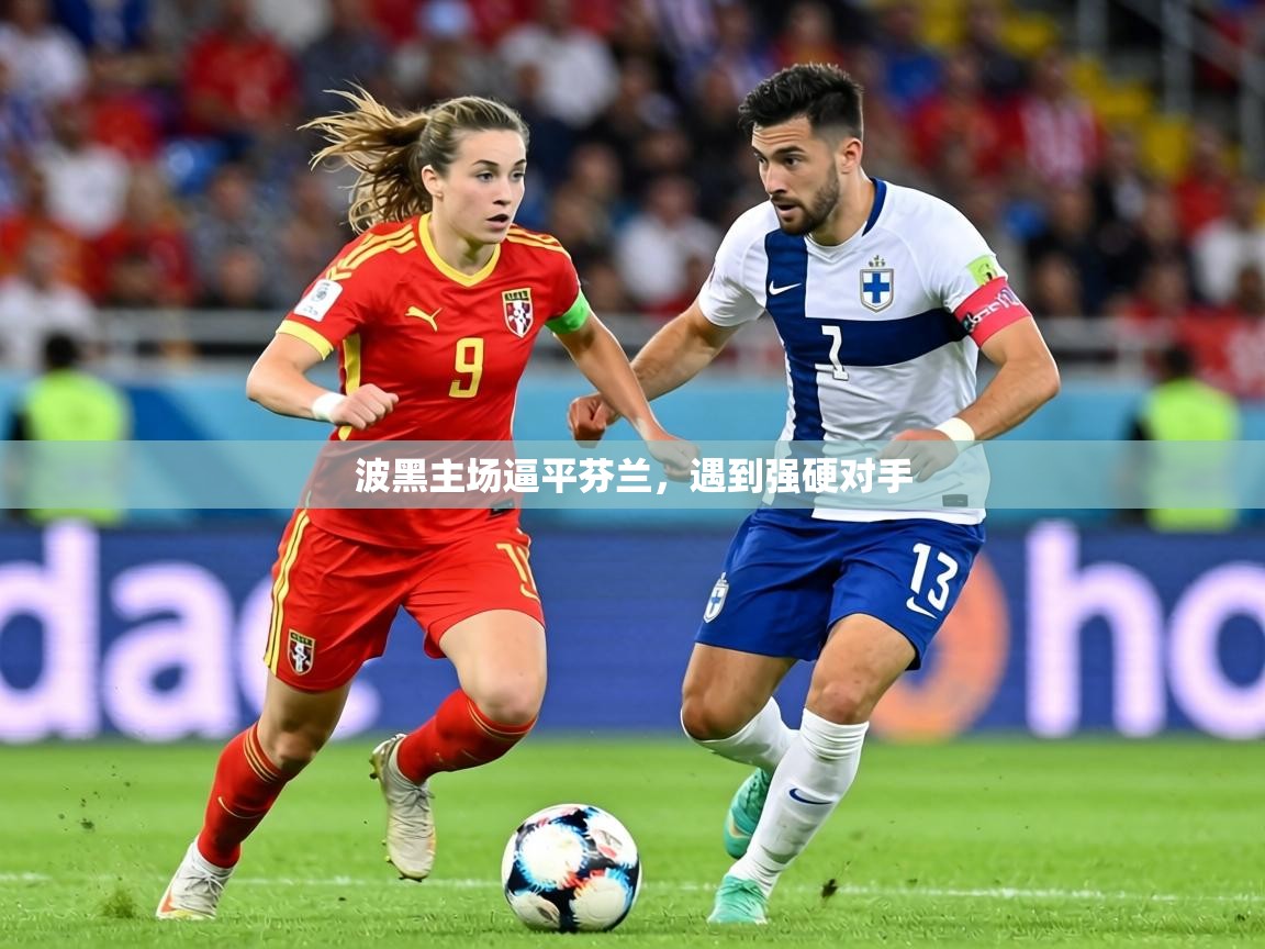 2026乐鱼体育官网波黑主场逼平芬兰，遇到强硬对手  第2张
