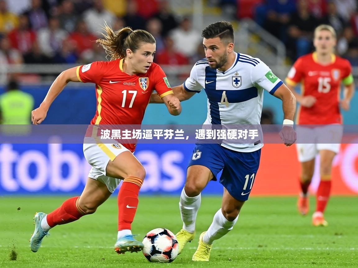 2026乐鱼体育官网波黑主场逼平芬兰，遇到强硬对手  第3张